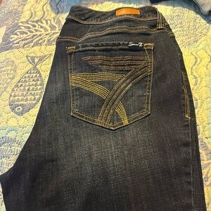 Lane Bryant Brand Jeans